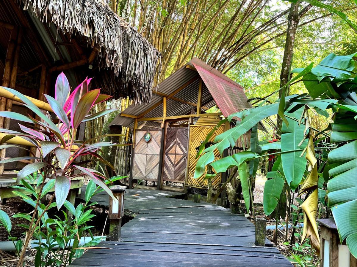 Cabanas Bambutan Palenque Eksteriør bilde