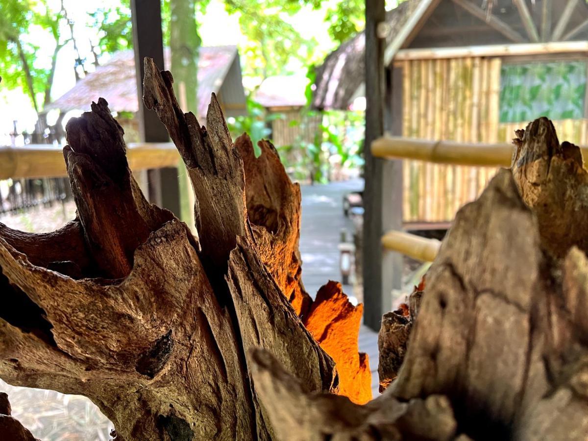 Cabanas Bambutan Palenque Eksteriør bilde