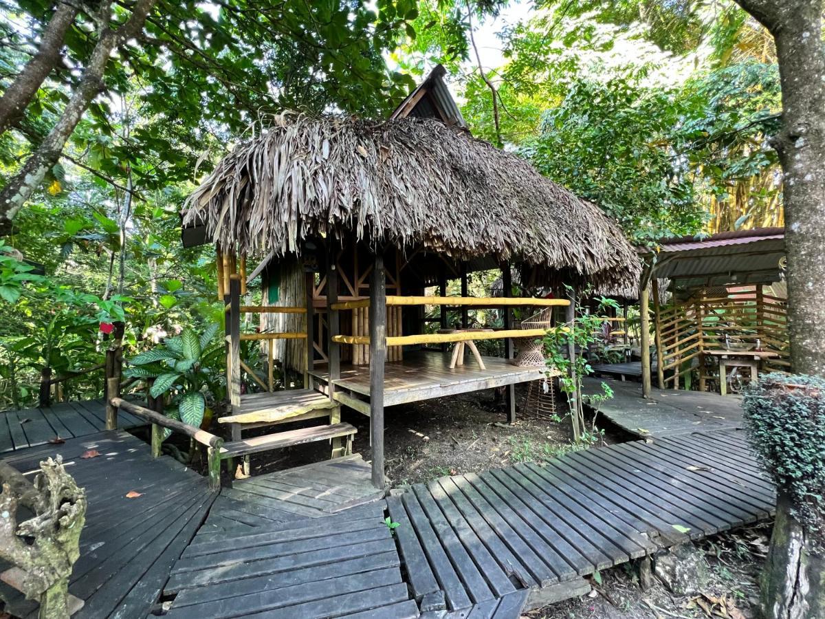 Cabanas Bambutan Palenque Eksteriør bilde