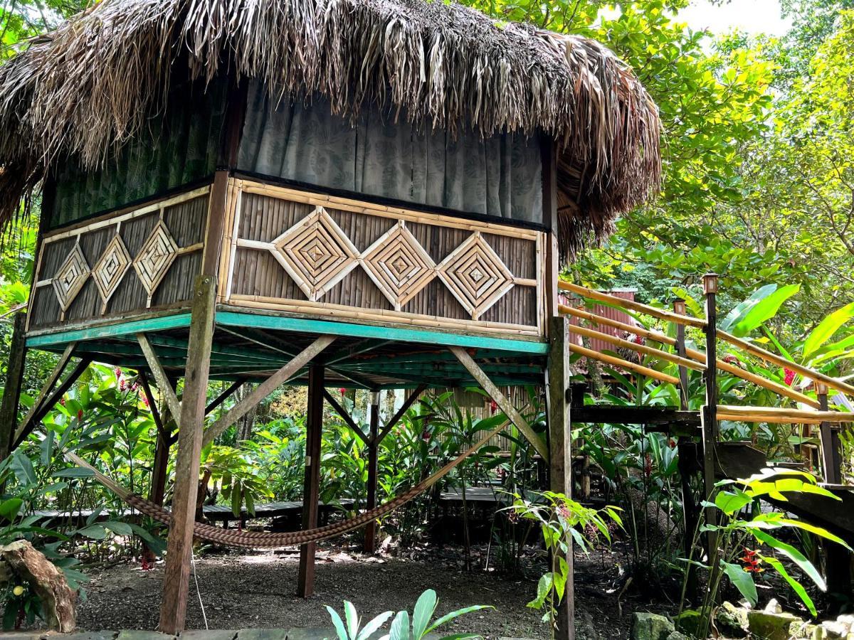 Cabanas Bambutan Palenque Eksteriør bilde