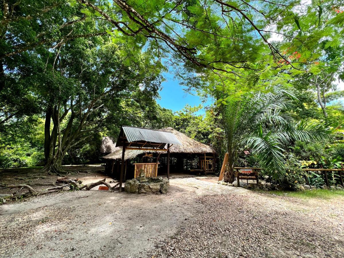 Cabanas Bambutan Palenque Eksteriør bilde