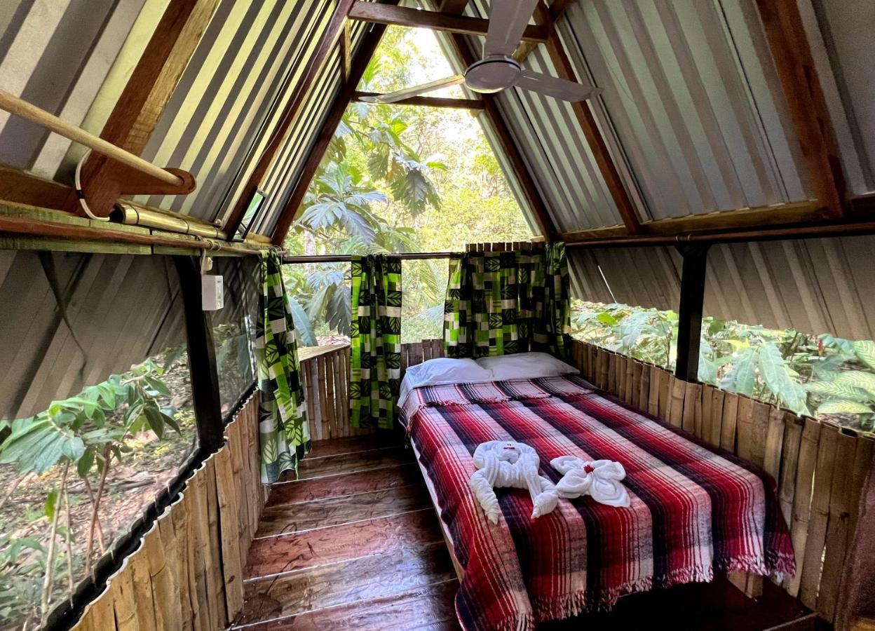 Cabanas Bambutan Palenque Eksteriør bilde