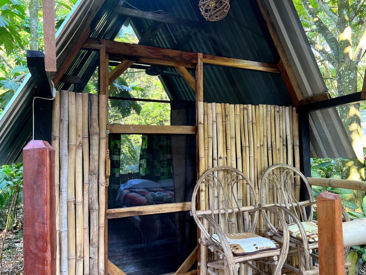 Cabanas Bambutan Palenque Eksteriør bilde