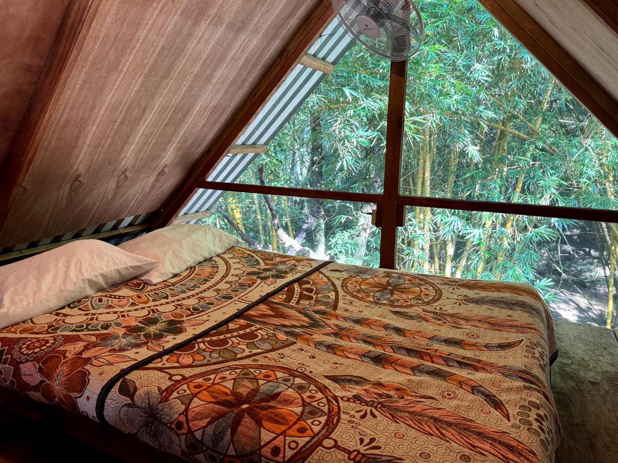 Cabanas Bambutan Palenque Rom bilde
