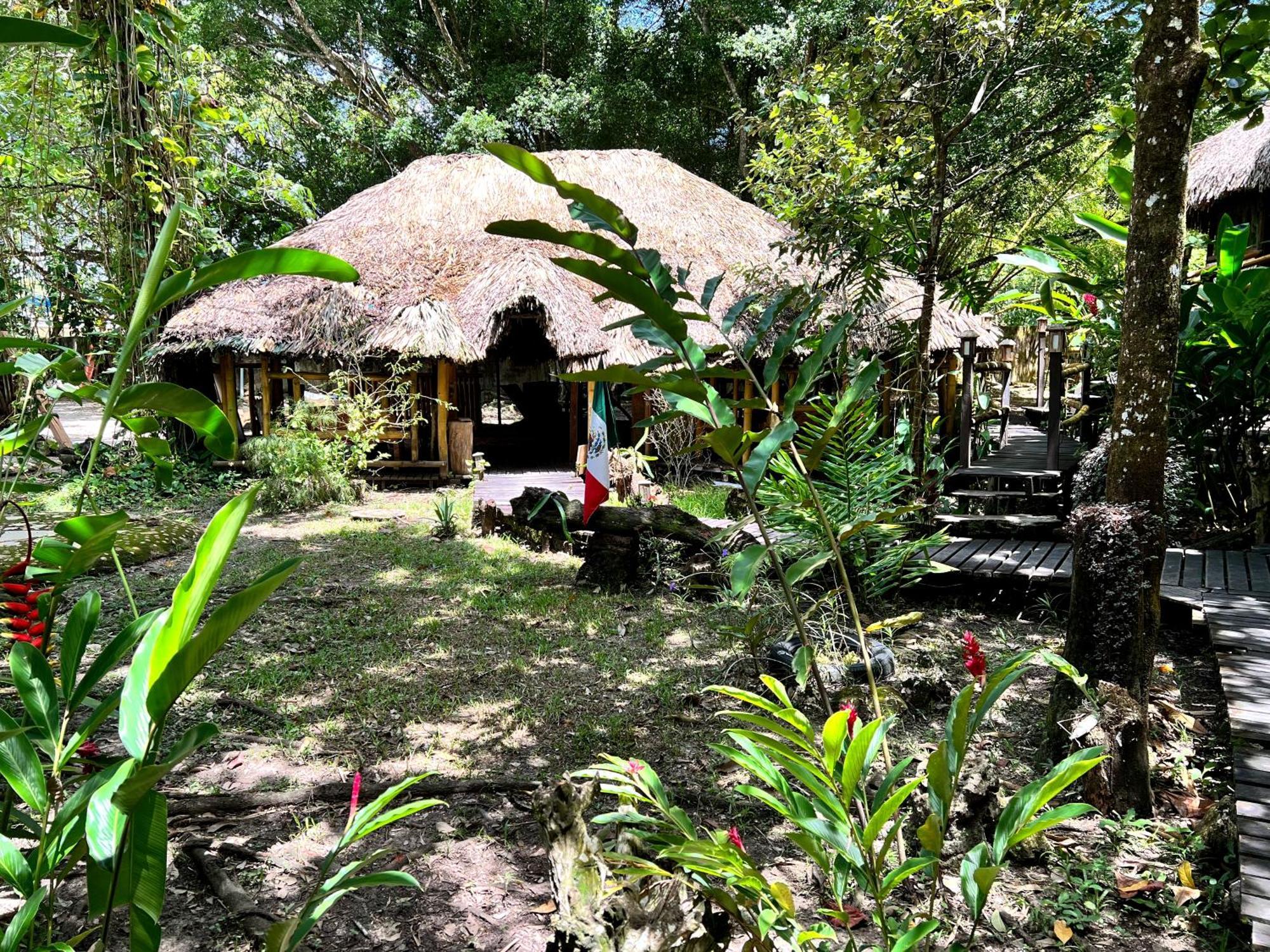 Cabanas Bambutan Palenque Rom bilde